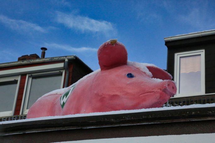 Werder Schwein